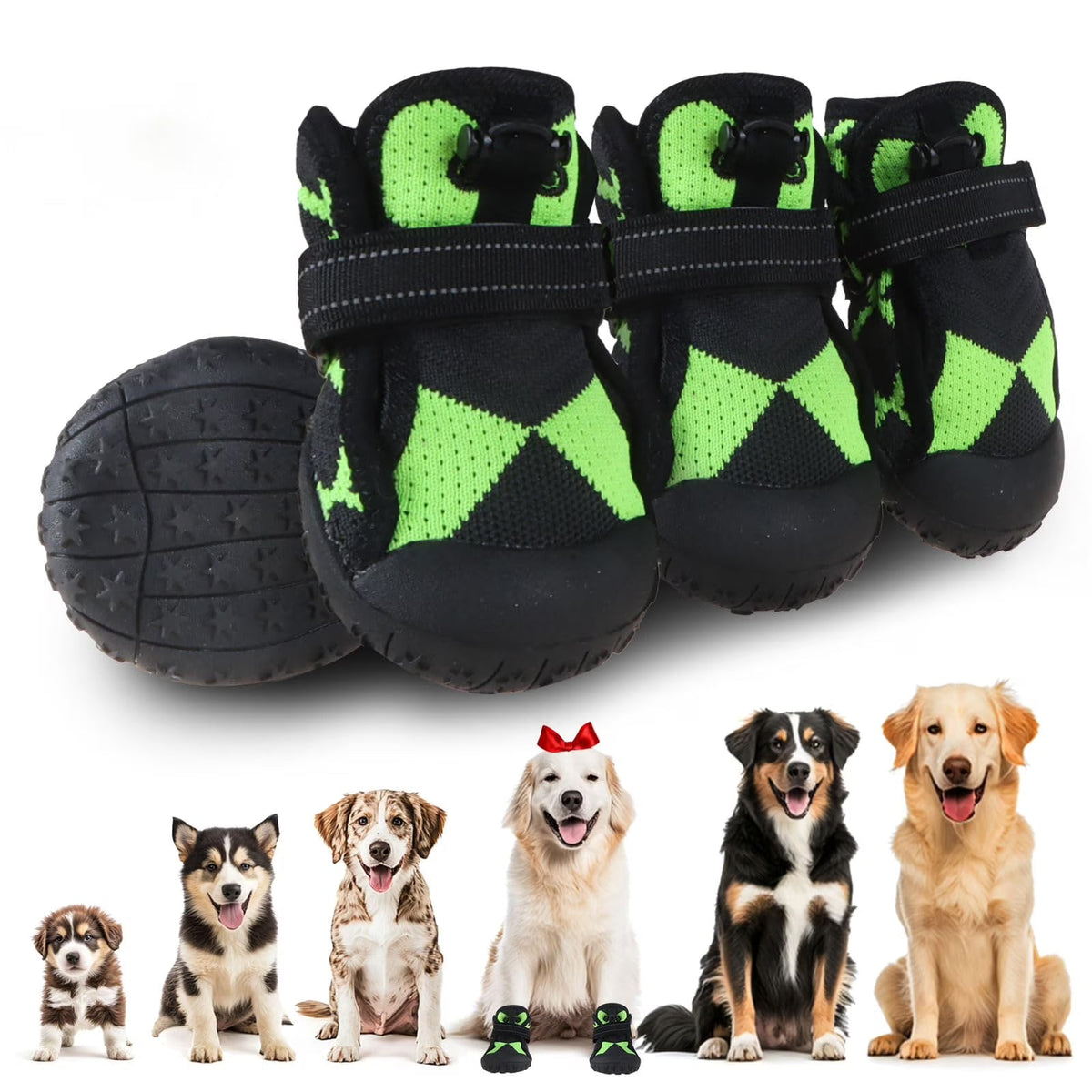 Footwear